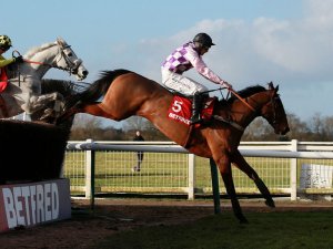 Sego Success looks an ideal candidate for the National Hunt Chase at the Festival.
